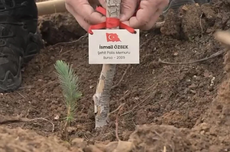 Bursa’da şehitler anısına fidan dikildi