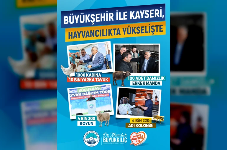 Büyükşehir ile Kayseri, hayvancılıkta yükselişte