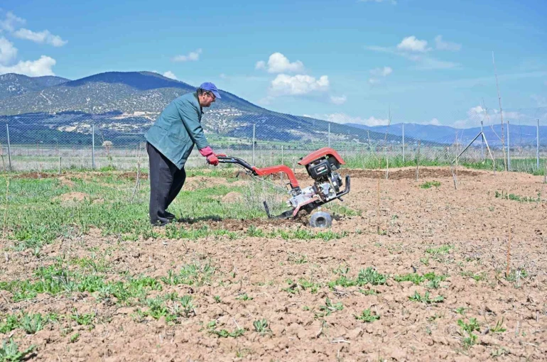 Büyükşehir ipek böceği yetiştiriciliğini yaygınlaştırıyor