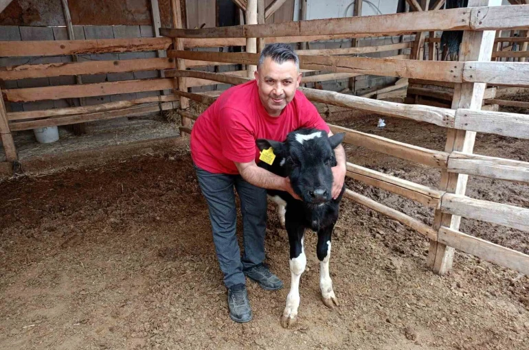 Çal’da Mert için yürekler seferber oldu