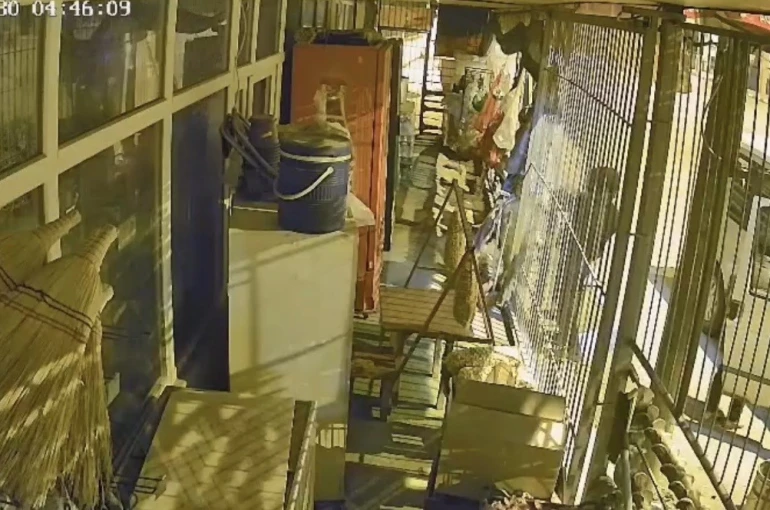 Çalıntı araçla geldiler, marketi soydular: 1 şüpheli tutuklandı
