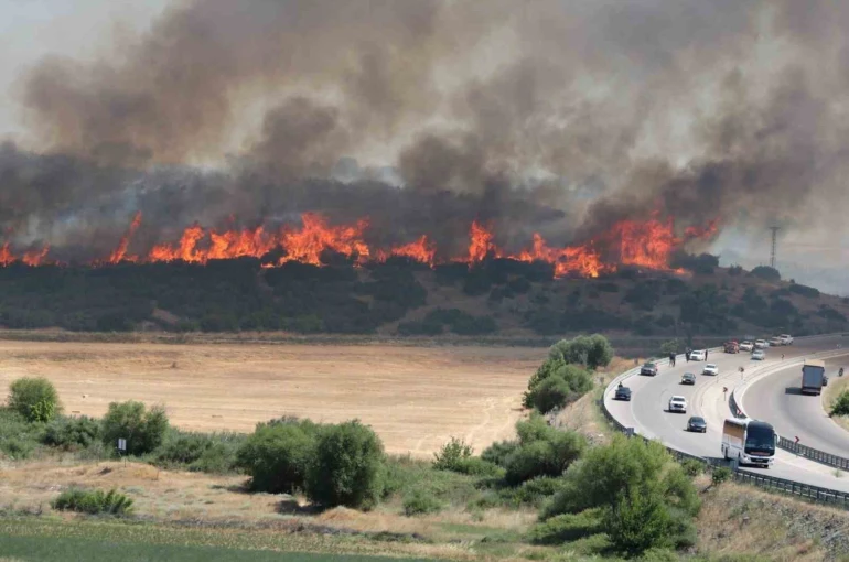 Çanakkale’de 4 gün boyunca orman yangını alarmı