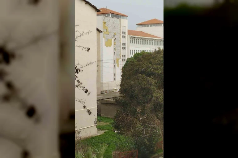 Çanakkale’de fırtına ağaçları devirdi