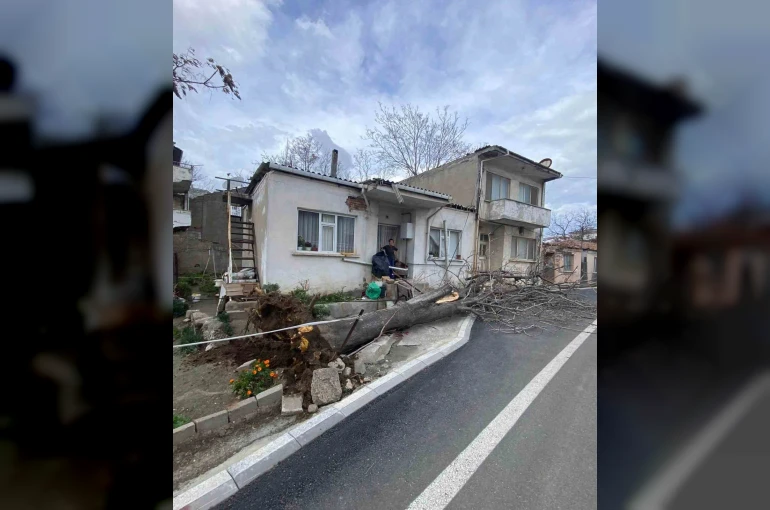 Çanakkale’de lodos fırtınasında devrilen ağaç evin çatısına zarar verdi