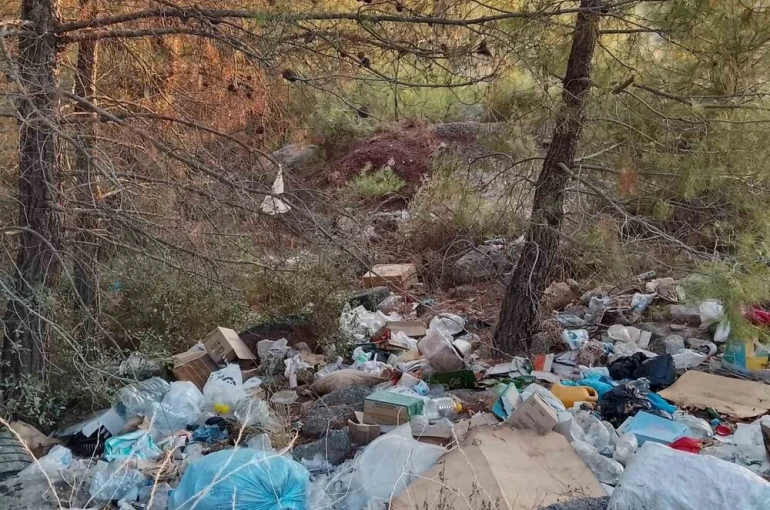 Çanakkale’de ormanlık alanlar çöpten geçilmiyor
