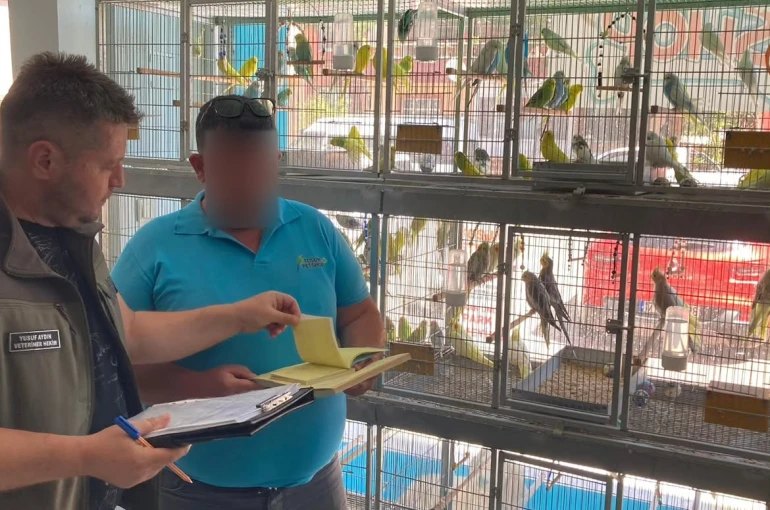 Çanakkale’de petshop denetimi