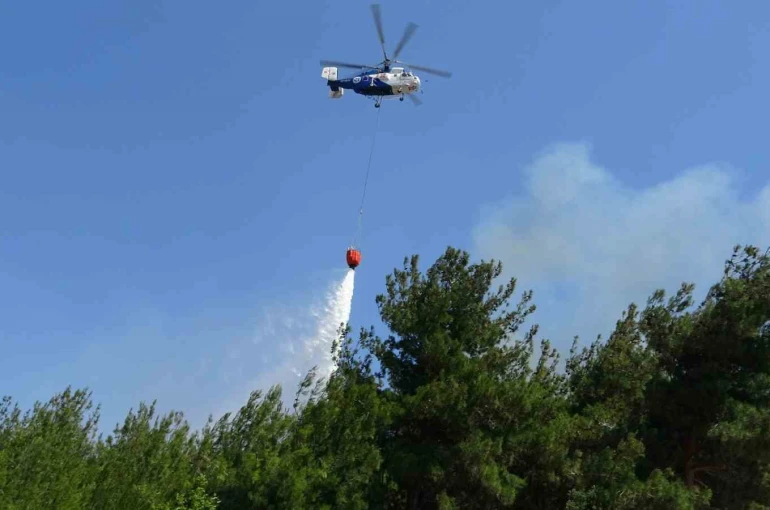 Çanakkale’de tarım arazisinde çıkan yangın kontrol altına alındı