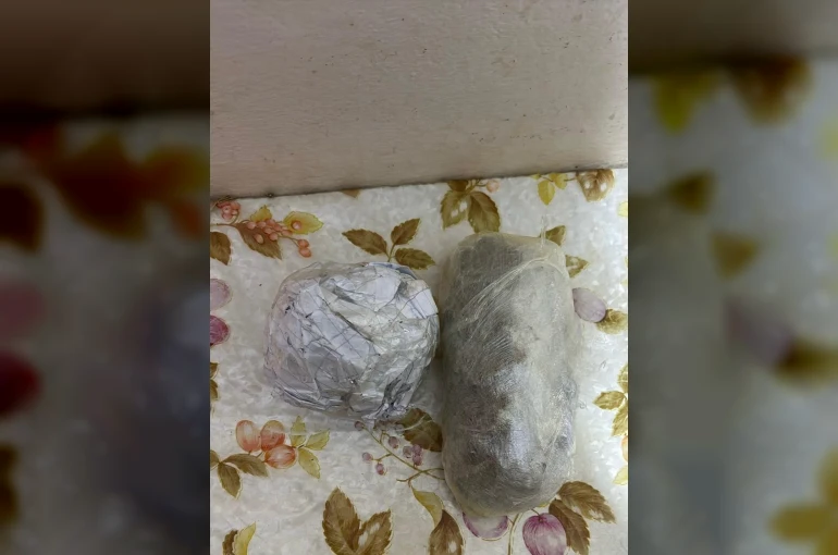 Çapkanlar Suç Örgütü’ne yeni operasyon: 24 şahıs yakalandı