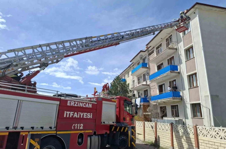 Çatıya takılan kuşu itfaiye kurtardı