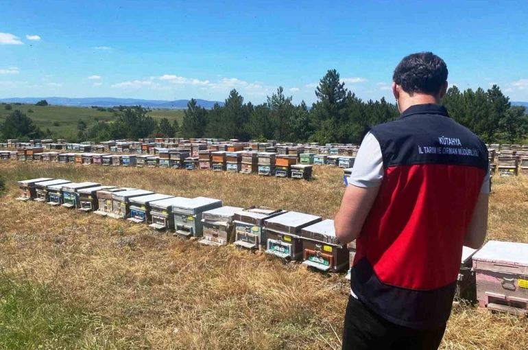 Çavdarhisar’da arılı kovan sayımı gerçekleştirildi