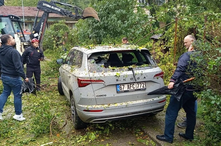 Çaycuma’da park halindeki otomobilin üzerine ağaç devrildi