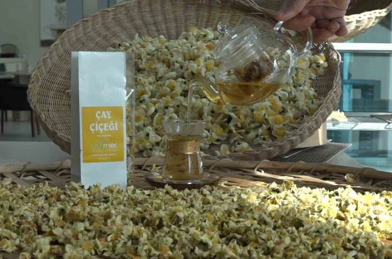 Çayın yeni ürünü ‘Çay çiçeği çayı’ 6 bin TL’den satılıyor