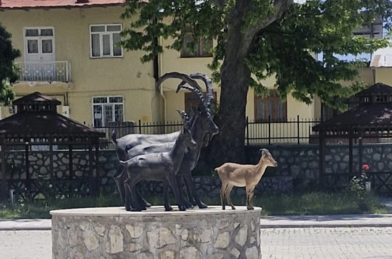 Çemişgezek’te tebessüm ettiren an: Gerçeği ve heykeli aynı karede