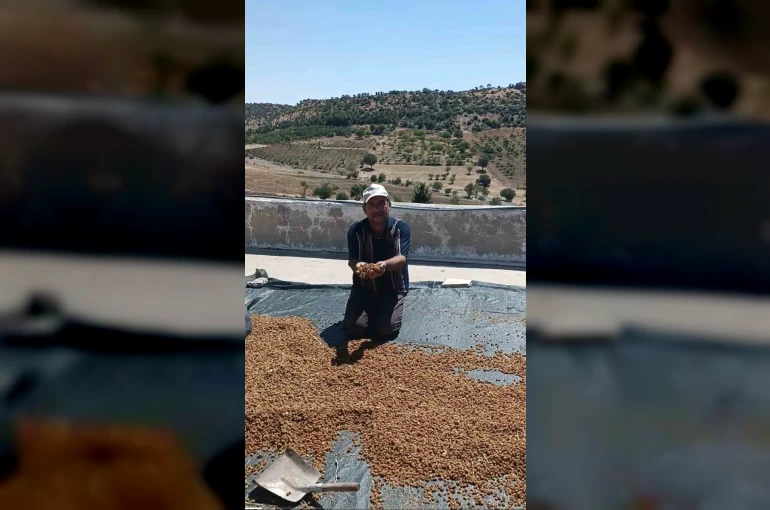 Çermik’te dutlar pazardaki yerini aldı