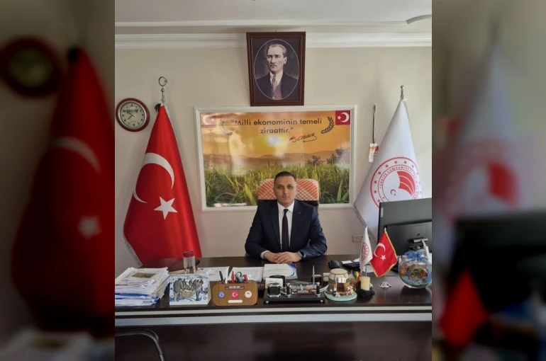 Çiftçilere yüzde 50 hibeli ayçiçeği tohumu dağıtılacak