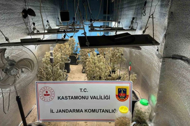 Çiftlik evlerini kenevir yetiştiren sanıklar tahliye edildi