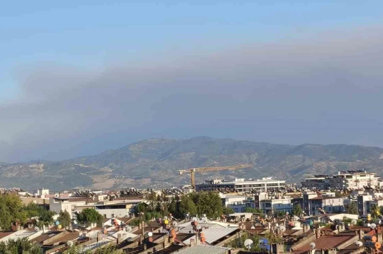 Çine yangının dumanları Efeler’e ulaştı