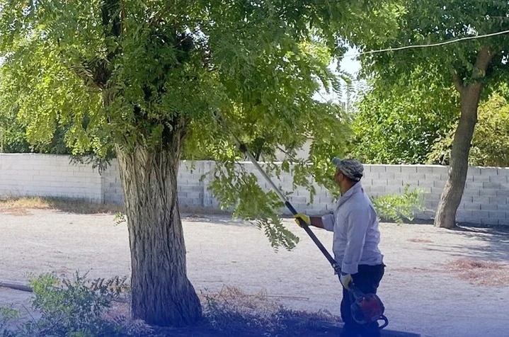 Çine’de okul bahçeleri yeni döneme hazır