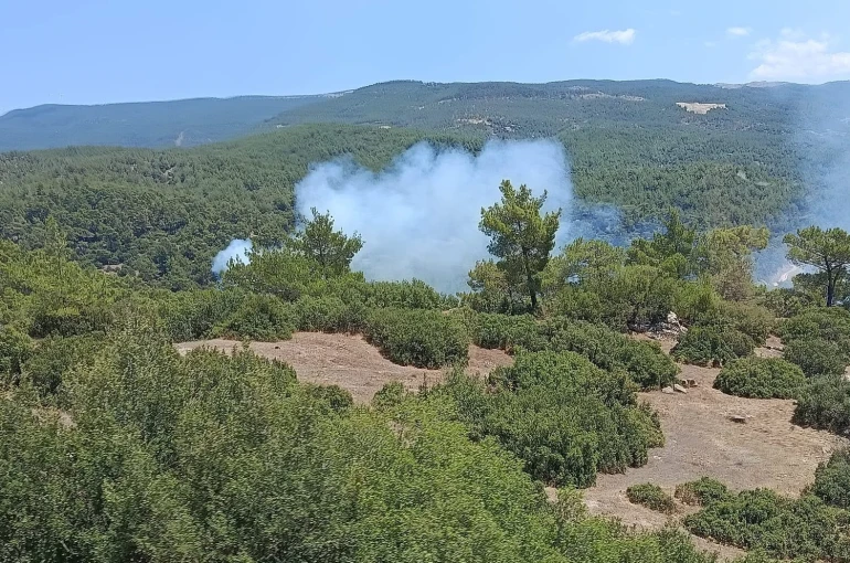 Çine’de orman yangını