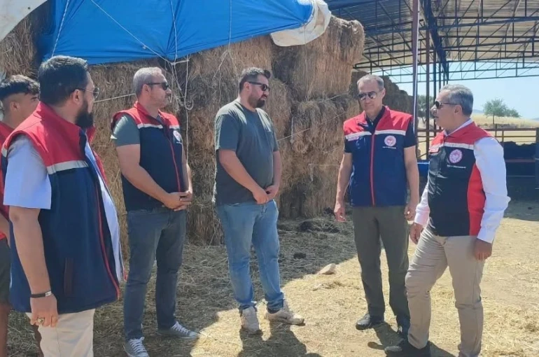 Çine’de üreticiye 30 baş etçi düve desteği 
