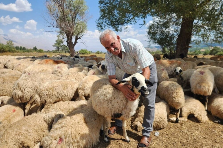 Çoban krizi büyüyor: Bir aylık ücret 130 bin TL’ye çıktı