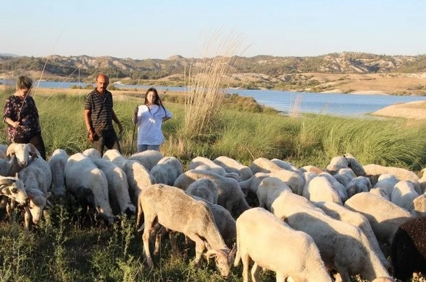Çobanlık yaparken 2 dil öğrendi, üniversiteyi birincilikle bitirdi