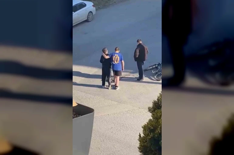 Çocuklar yaralı kedinin üzerini örtüp, başında nöbet tuttu