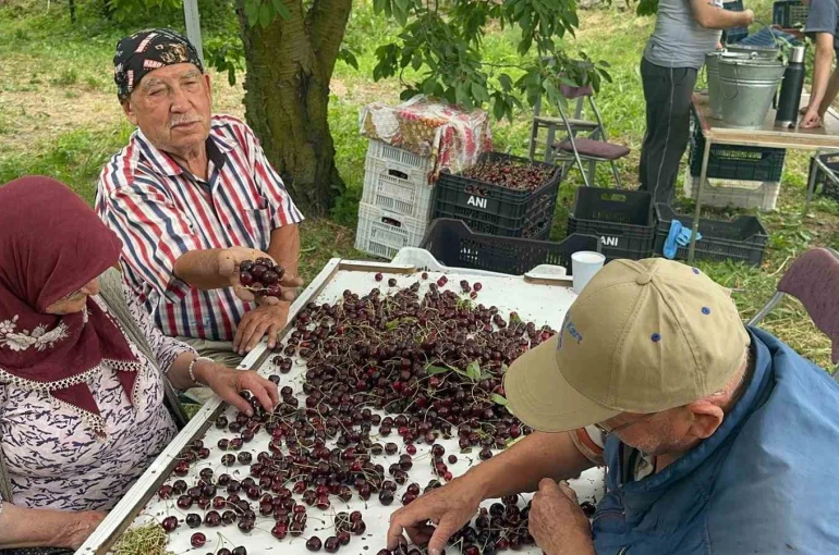 Coğrafi işaretli Akşehir ve Sultandağı kirazlarında tarihi rekor kırıldı