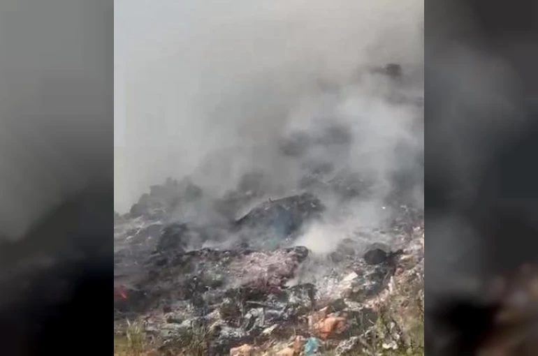 Çöp döküm alanındaki yangın ormana sıçradı