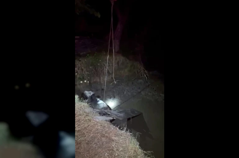 Çukura düşen ineği itfaiye kurtardı 