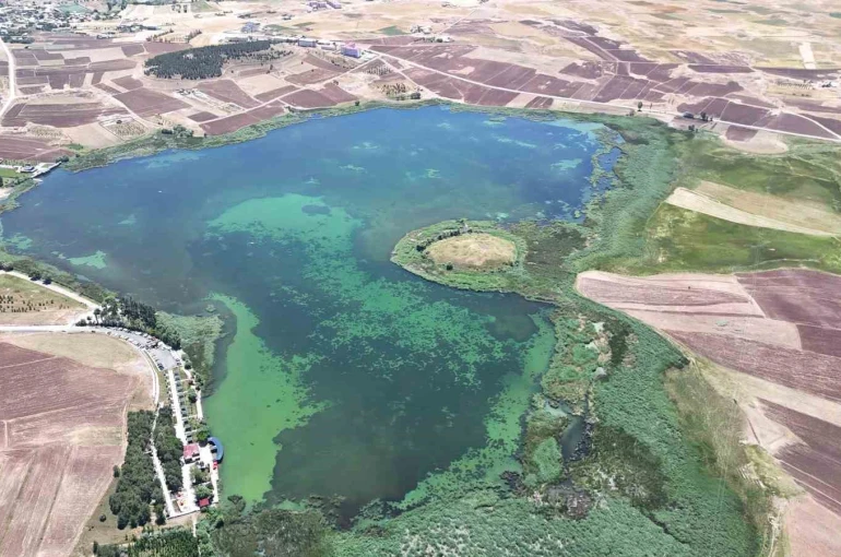 Cumhurbaşkanı kararıyla koruma alınan göl kuraklıkla savaşıyordu, bu sene doldu taştı 