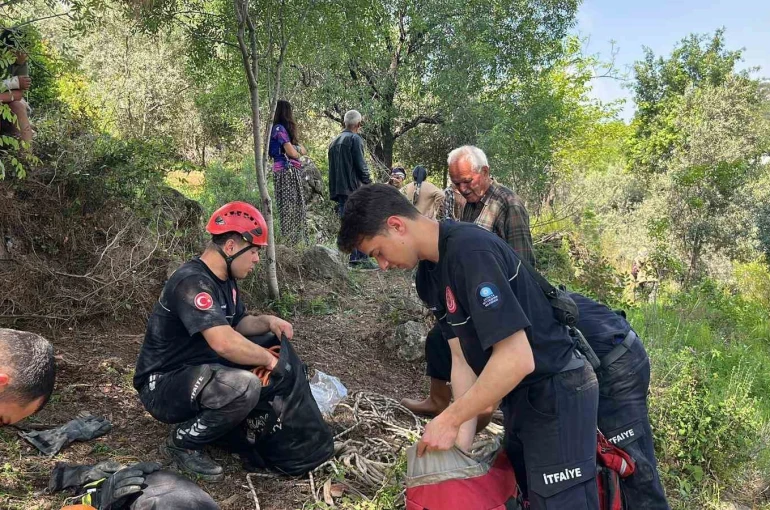 Dağlık alanda otlarken mağaraya düşen inek mağaraya inebilecek kasap bulunamayınca telef oldu