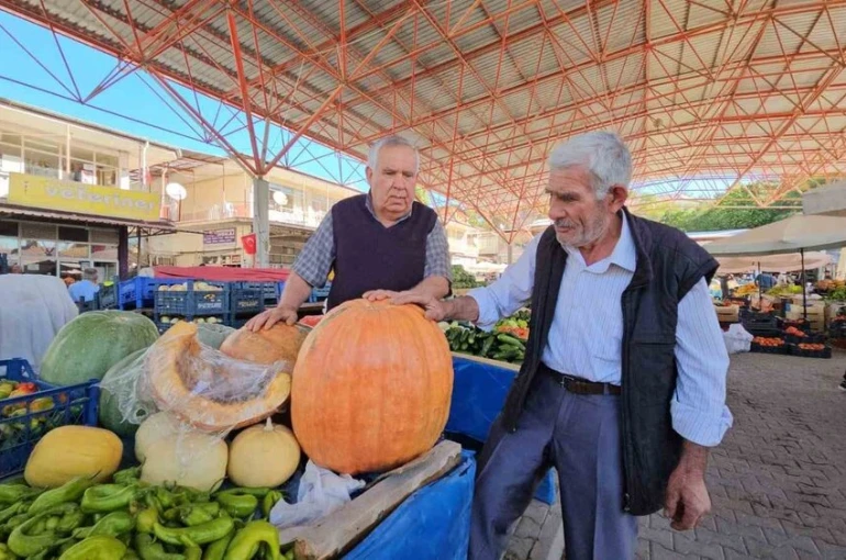 Darende’nin meşhur bal kabağı üreticinin yüzünü güldürüyor
