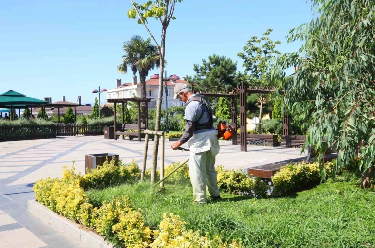 Darıca’da cadde ve sokaklar baştan aşağı temizleniyor