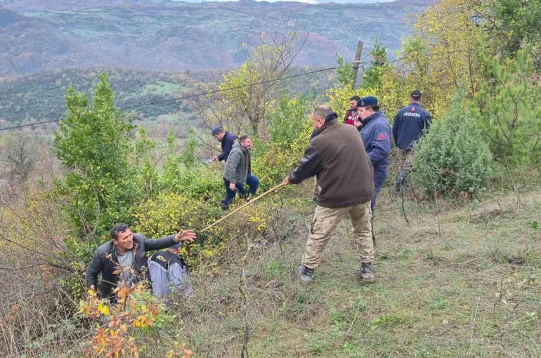 Defne toplarken kaybolan kadının cansız bedeni bulundu: O anlar İHA kameralarına yansıdı 