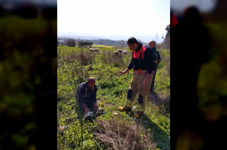 Defne’de kuyuya düşen kuzuyu itfaiye kurtardı