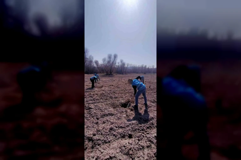 Denetimli serbestlik yükümlüleri ’Adalet Ormanı’nda meyve yetiştiriyor