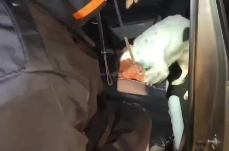 Denizli’de arama yapılan araçta 1,5 kilogram metamfetamin ele geçirildi