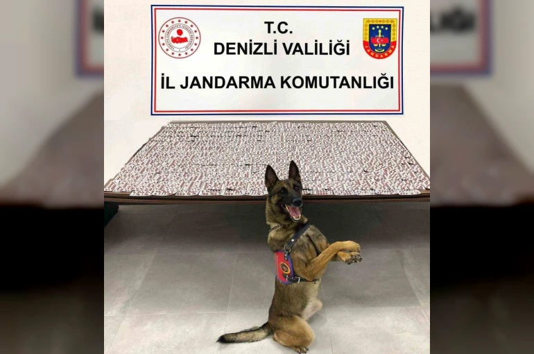 Denizli’de jandarma uyuşturucu tacirlerine geçit vermiyor