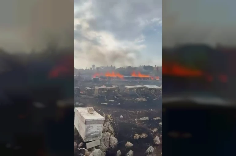 Denizli’de yangında arılar telef oldu