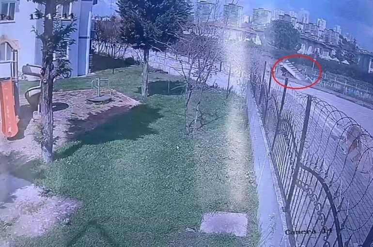 Dereye uçan kamyonetin sürücüsü hayatını kaybetti