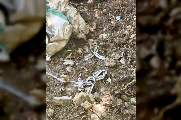 Devriye gezen jandarma son anda fark etti, bir hayat kurtuldu