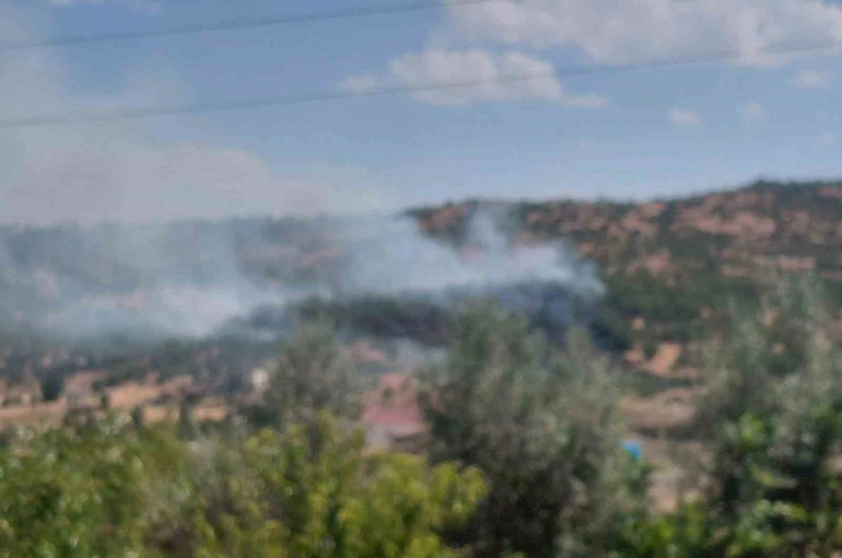 Dicle’de örtü yangını