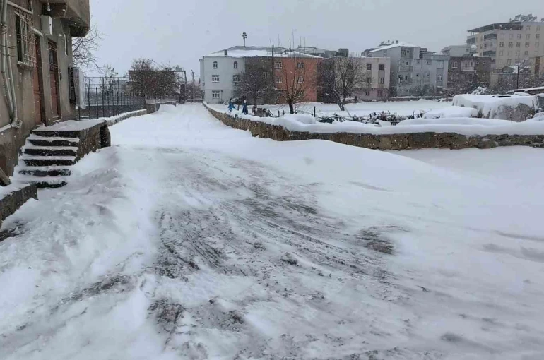 Dicle’de yoğun kar hayatı olumsuz etkiledi