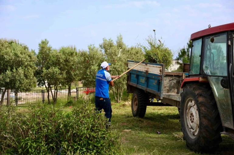 Didim Belediyesi’nden okullarda ot biçme ve çevre düzenleme çalışması