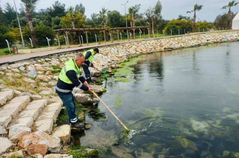 Didim’de temizlik ve düzenleme çalışmaları sürüyor