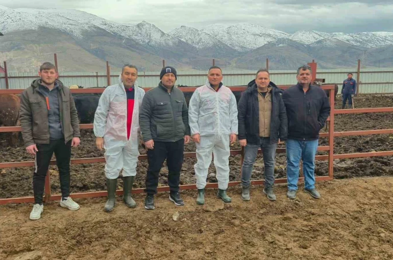 Dinar’da ithal hayvan besiciliği yapılan işletmelere yönelik denetim