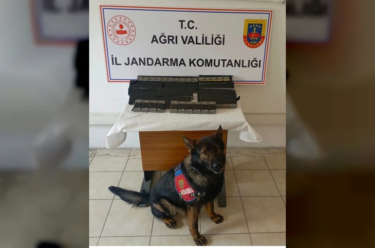 Diyadin’de 180 paket kaçak sigara yakalandı