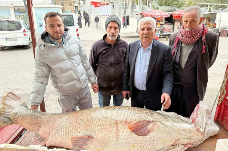 Diyarbakır’da 120 kiloluk turna balığı görenleri hayrete düşürdü