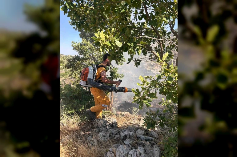 Diyarbakır’da 15 dönüme yakın ormanlık alan yandı